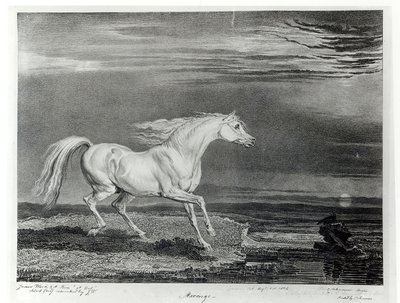 Marengo, engraved by the artist, pub. by R. Ackermann by James Ward